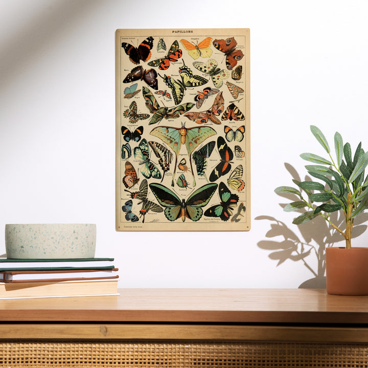 Butterflies, C, Vintage Bookplate, Adolphe Millot, Wood Sign and Postcards