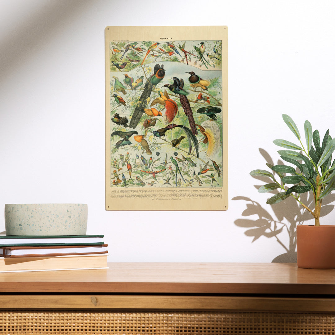 Birds, B, Vintage Bookplate, Adolphe Millot, Wood Sign and Postcards