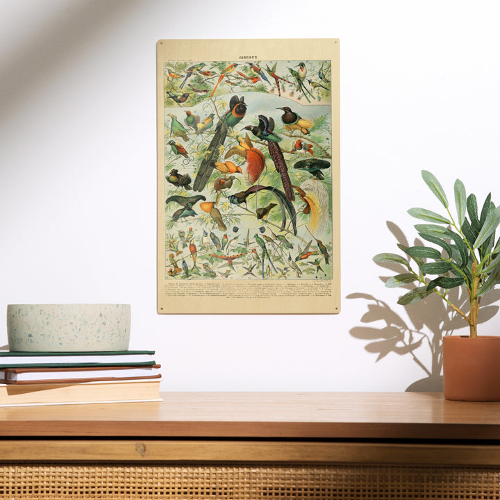 Birds, B, Vintage Bookplate, Adolphe Millot, Wood Sign and Postcards