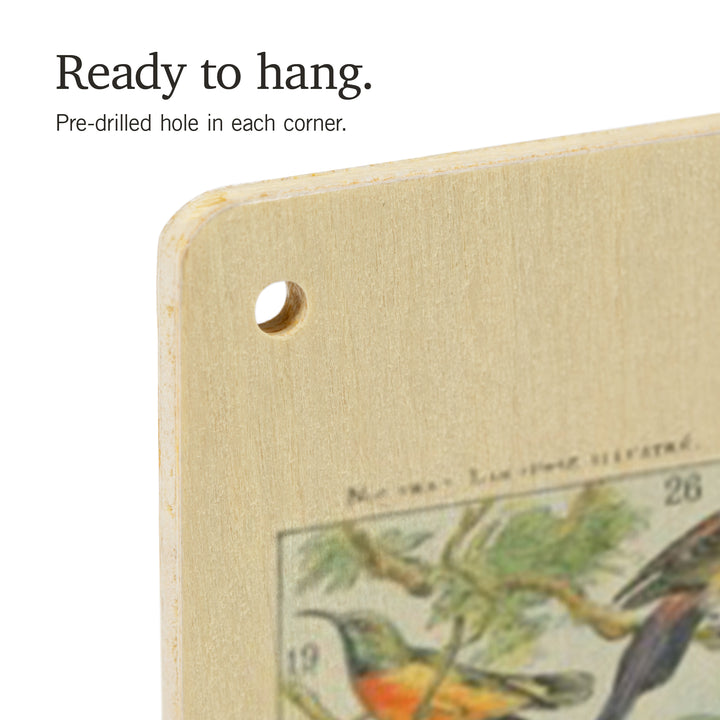 Birds, B, Vintage Bookplate, Adolphe Millot, Wood Sign and Postcards