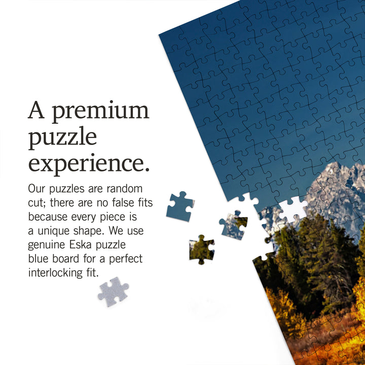 Grand Teton National Park, Wyoming, Fall Colors at Oxbow Bend, 1000 Piece Jigsaw Puzzle
