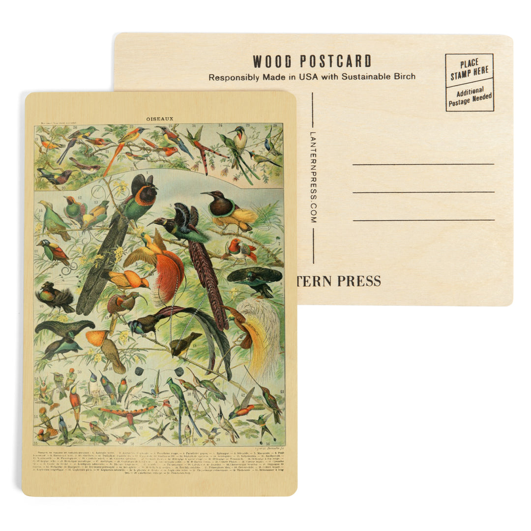 Birds, B, Vintage Bookplate, Adolphe Millot, Wood Sign and Postcards