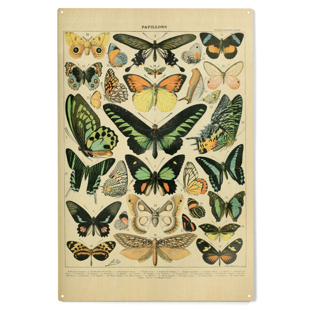 Butterflies, B, Vintage Bookplate, Adolphe Millot, Wood Sign and Postcards
