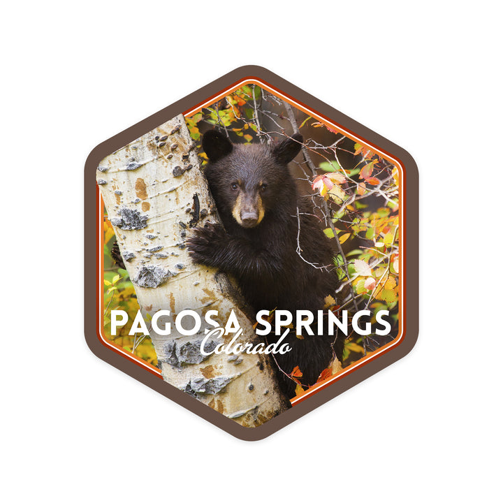 Pagosa Springs, Colorado, Bear Cub in Birch Tree, Contour, Vinyl Sticker