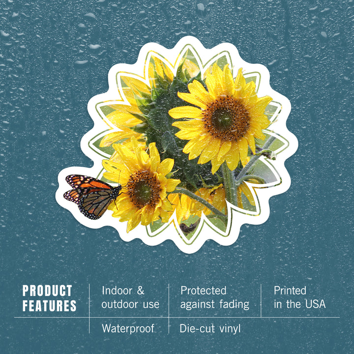 Sunflowers, Butterfly, Contour, Photography, Vinyl Sticker