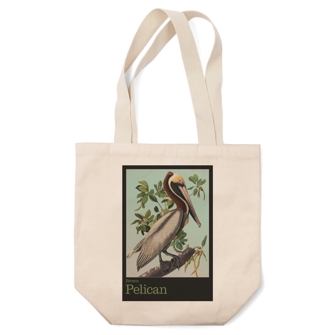 Audubon Birds, North America Brown Pelican, Tote Bag