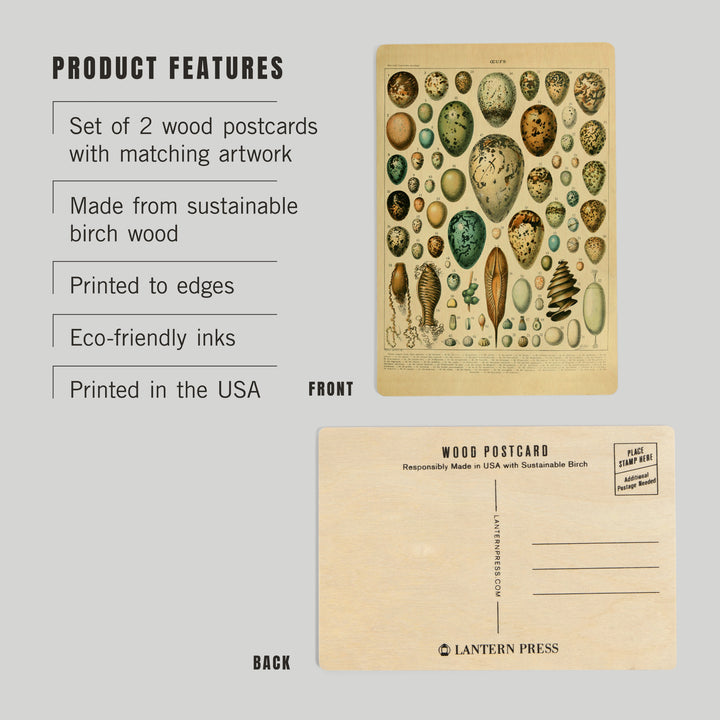 Eggs, Vintage Bookplate, Adolphe Millot Artwork, Wood Sign and Postcards