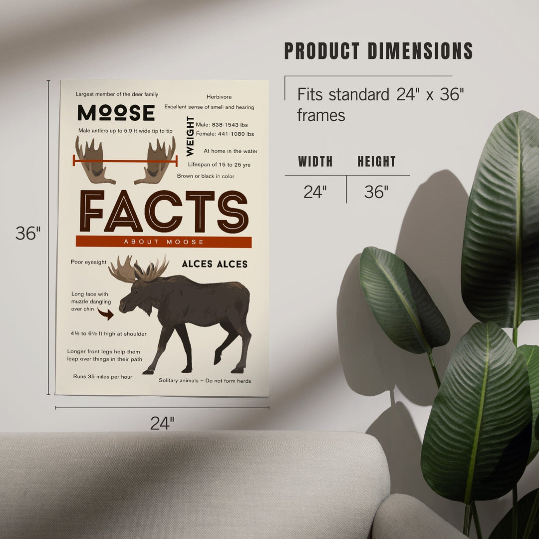 Facts About Moose, Art & Giclee Prints - Lantern Press