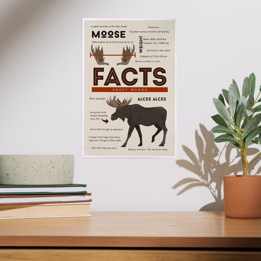 Facts About Moose, Art & Giclee Prints - Lantern Press