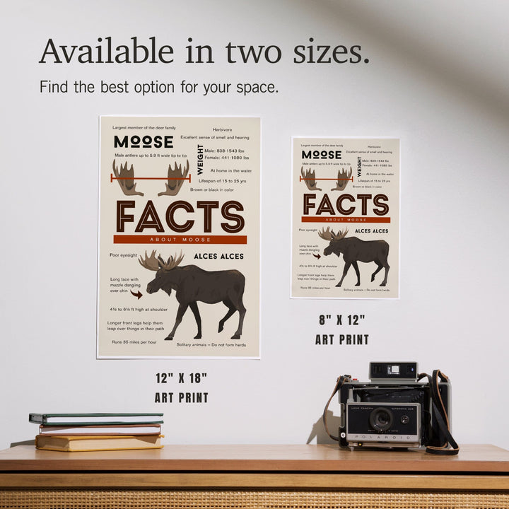 Facts About Moose, Art & Giclee Prints - Lantern Press