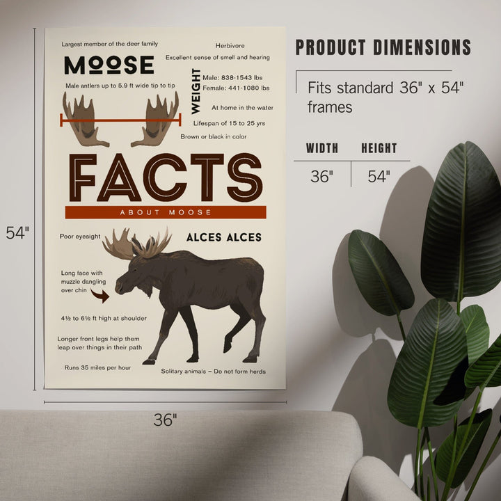 Facts About Moose, Art & Giclee Prints - Lantern Press