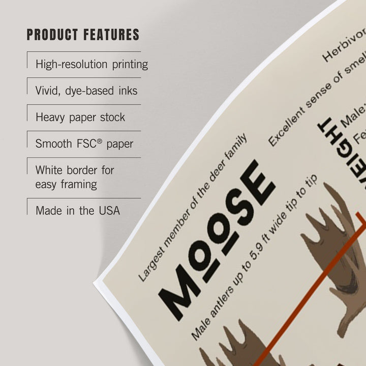 Facts About Moose, Art & Giclee Prints - Lantern Press