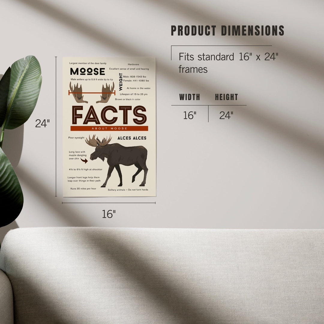 Facts About Moose, Art & Giclee Prints - Lantern Press