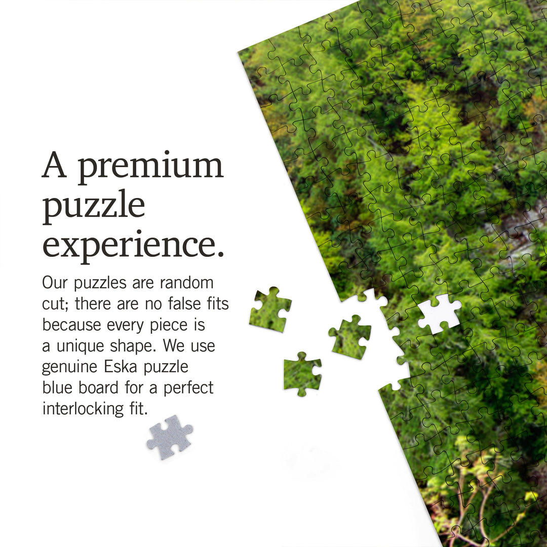 Fall Creek Falls State Park, Tennessee, Fall Creek and Coon Creek Falls, Jigsaw Puzzle Puzzle Lantern Press 