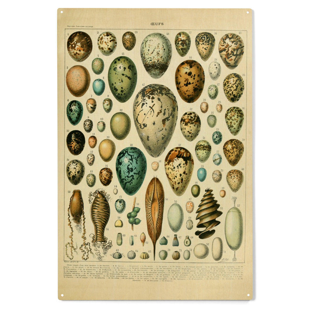 Eggs, Vintage Bookplate, Adolphe Millot Artwork, Wood Sign and Postcards