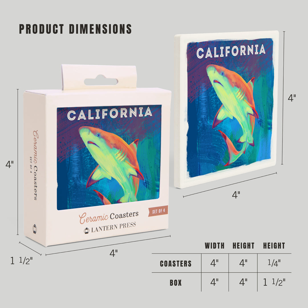 California, Vivid, Blacktip Shark, Coaster Set