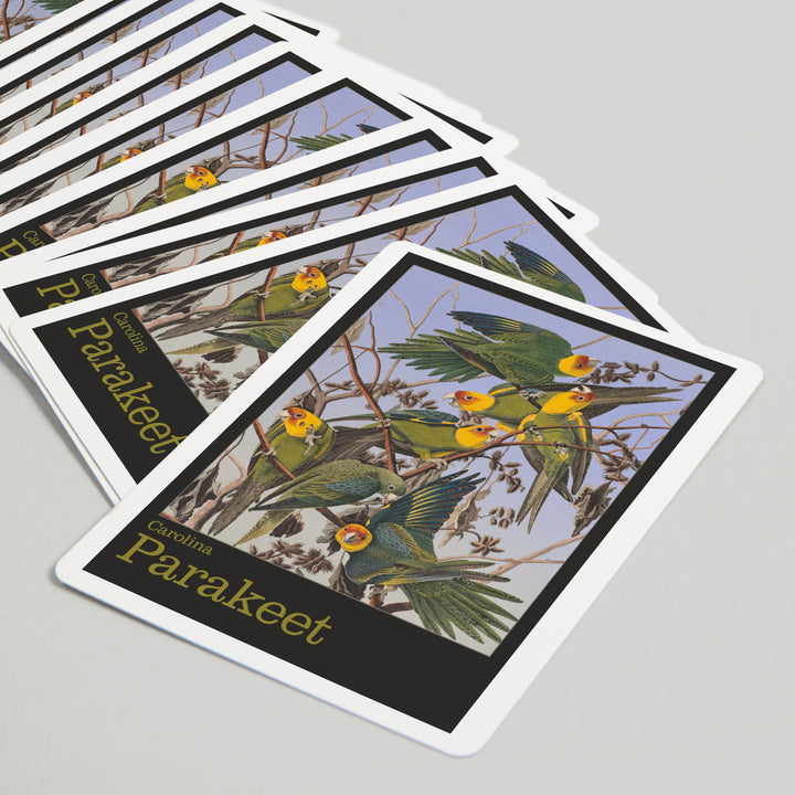 Playing Cards, Audubon Birds of North America, Parakeet, 52 Card Deck with Jokers in Box, Unique Art