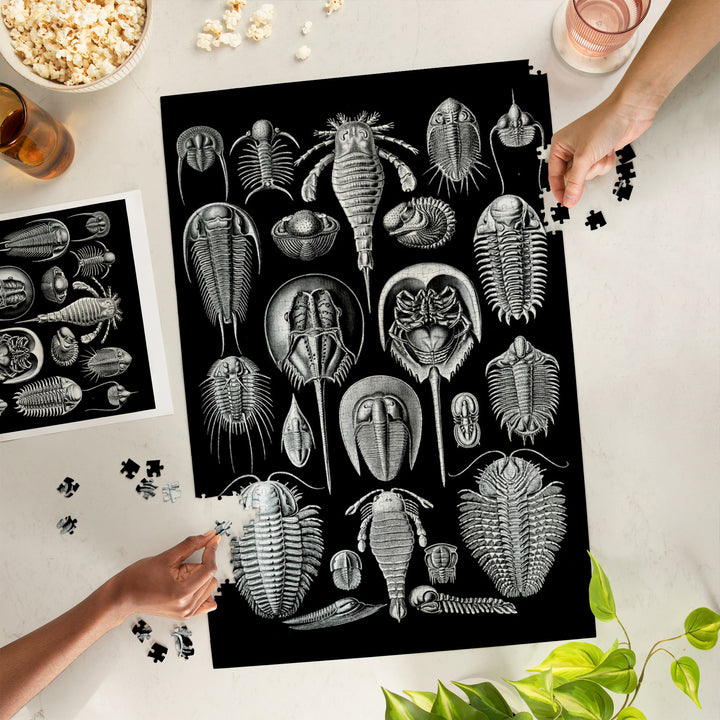 Art Forms of Nature, Aspidonia (Horseshoe Crabs), Ernst Haeckel Artwork, Jigsaw Puzzle