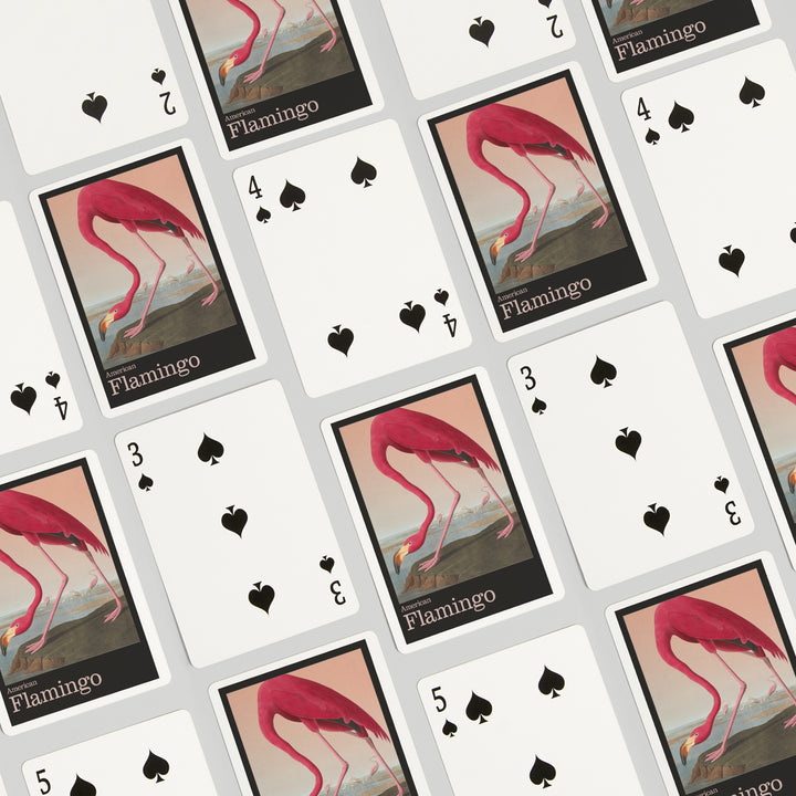 Playing Cards, Audubon Birds of North America, Flamingo, 52 Card Deck with Jokers in Box, Unique Art