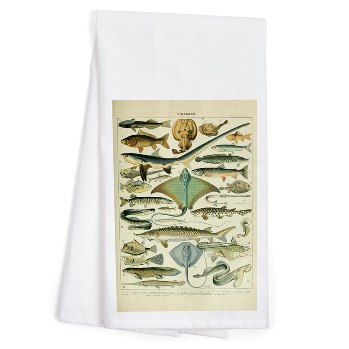Fish, B, Vintage Bookplate, Adolphe Millot Artwork, Organic Cotton Kitchen Tea Towels Kitchen Lantern Press 