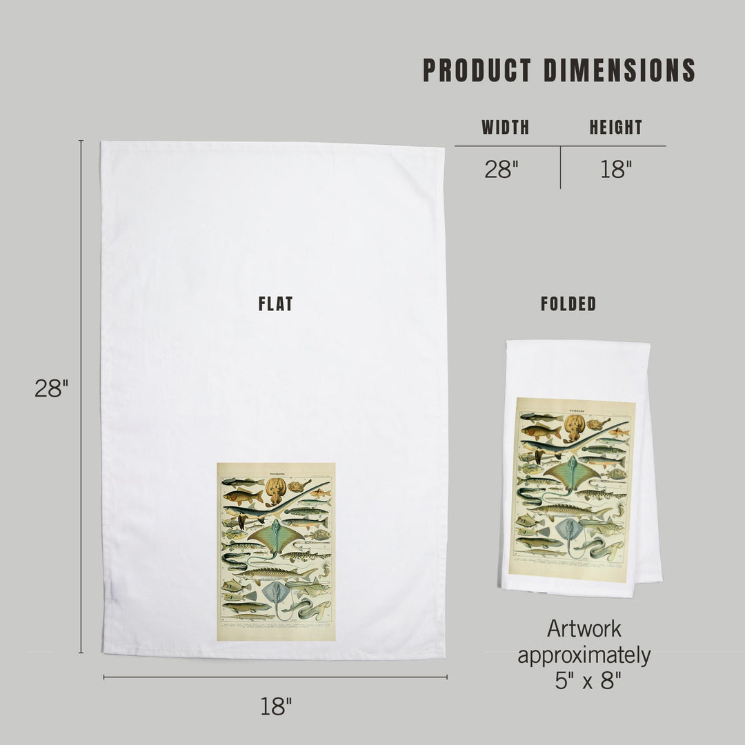 Fish, B, Vintage Bookplate, Adolphe Millot Artwork, Organic Cotton Kitchen Tea Towels Kitchen Lantern Press 