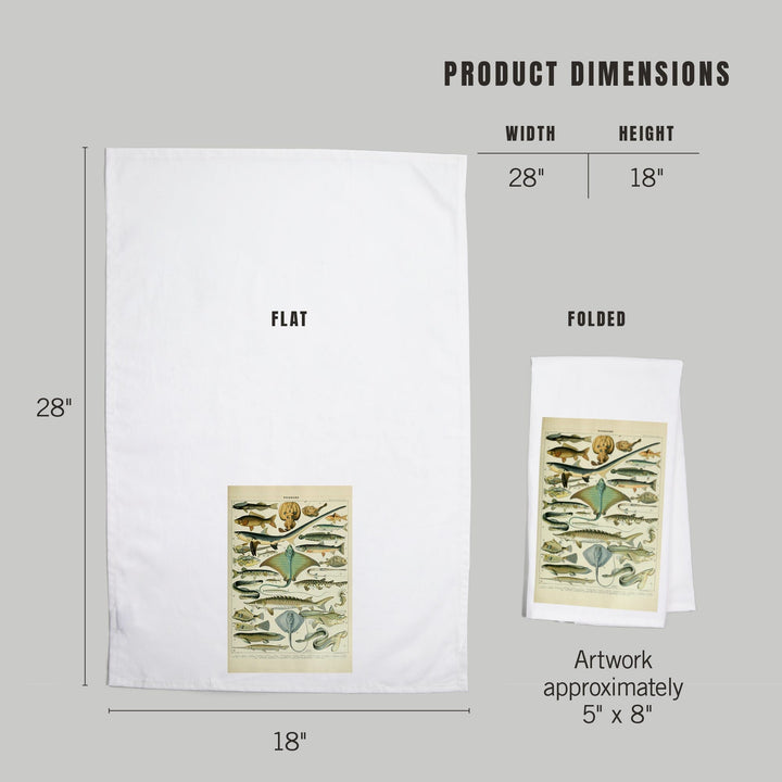 Fish, B, Vintage Bookplate, Adolphe Millot Artwork, Organic Cotton Kitchen Tea Towels Kitchen Lantern Press 