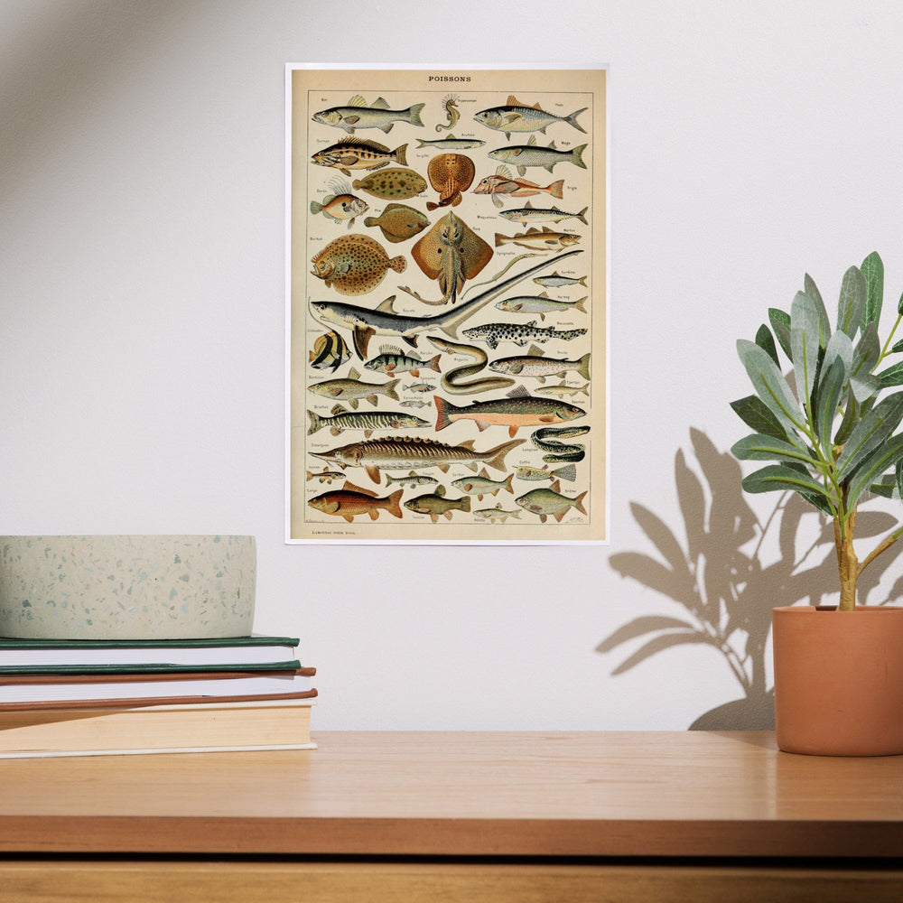 Fish, C, Vintage Bookplate, Adolphe Millot Artwork, Art & Giclee Prints Art Lantern Press 