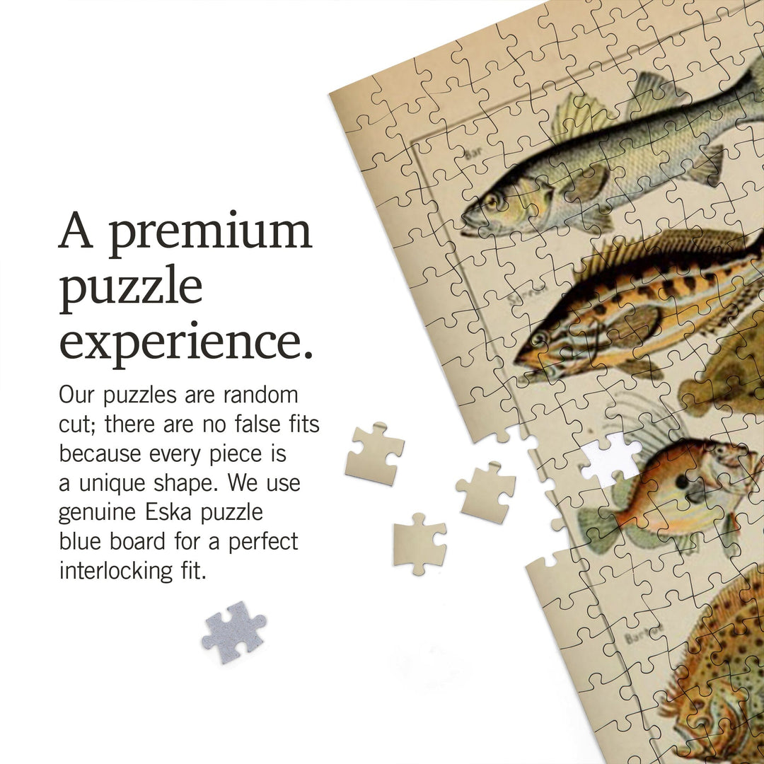 Fish, C, Vintage Bookplate, Adolphe Millot Artwork, 1000 piece jigsaw  puzzle – Lantern Press