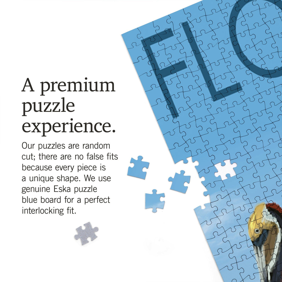 Florida, Brown Pelicans, Jigsaw Puzzle Puzzle Lantern Press 