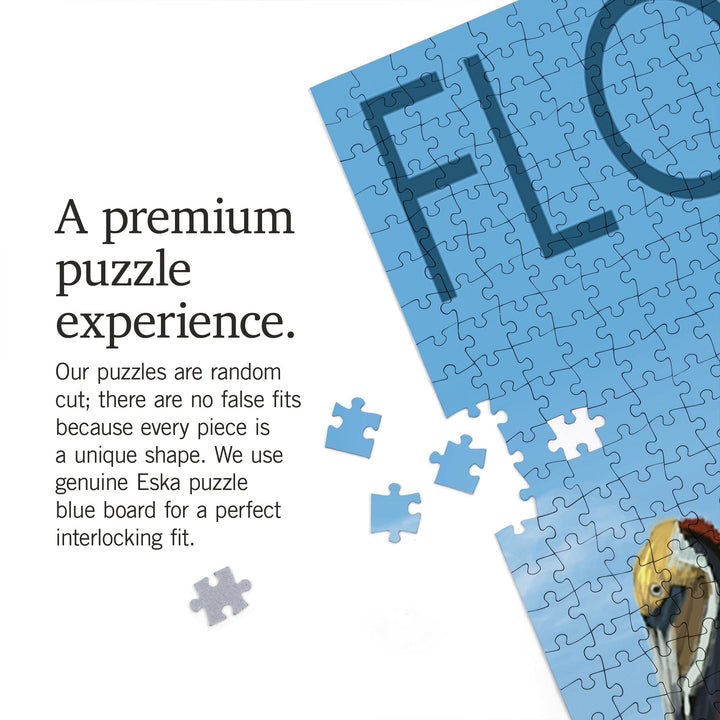 Florida, Brown Pelicans, Jigsaw Puzzle Puzzle Lantern Press 
