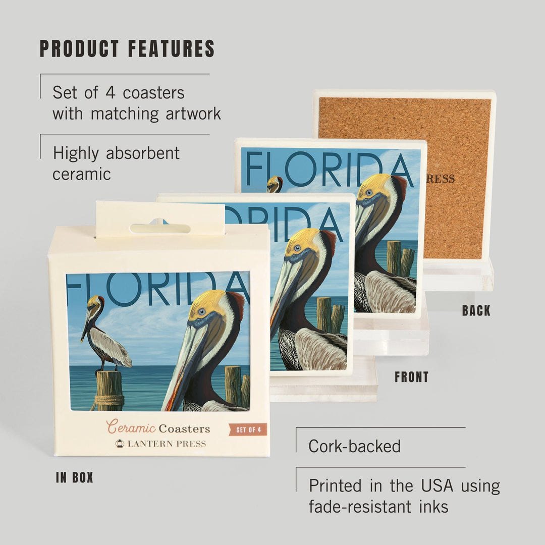 Florida, Brown Pelicans, Lantern Press Artwork, Coaster Set - Lantern Press