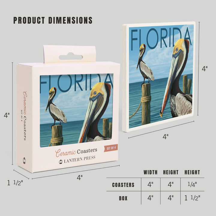 Florida, Brown Pelicans, Lantern Press Artwork, Coaster Set - Lantern Press