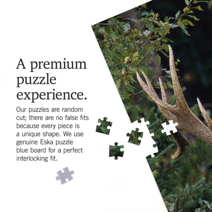 Glacier National Park, Elk Bull, Jigsaw Puzzle Puzzle Lantern Press 