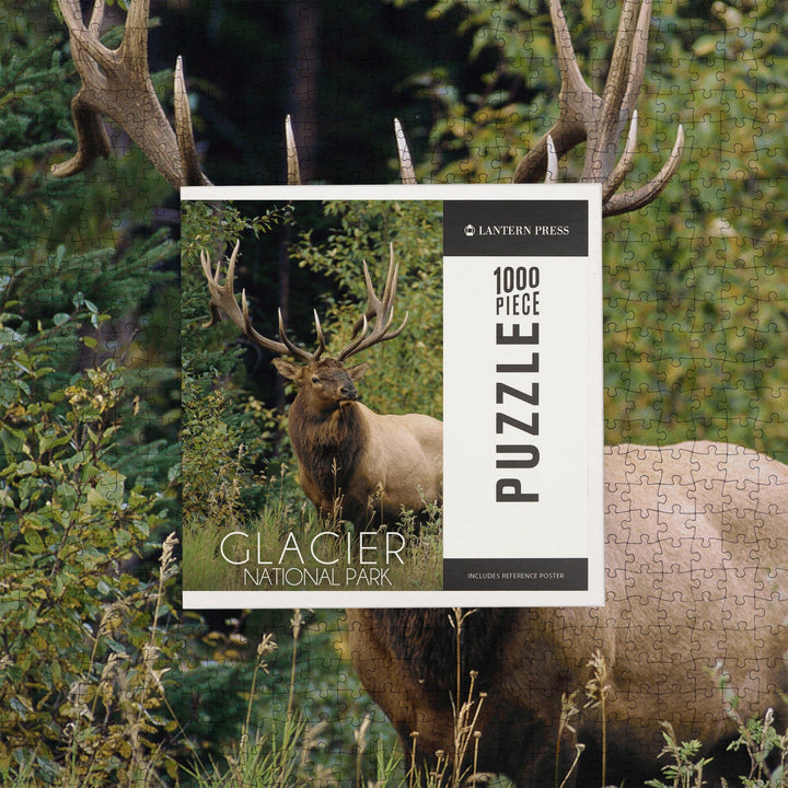 Glacier National Park, Elk Bull, Jigsaw Puzzle Puzzle Lantern Press 