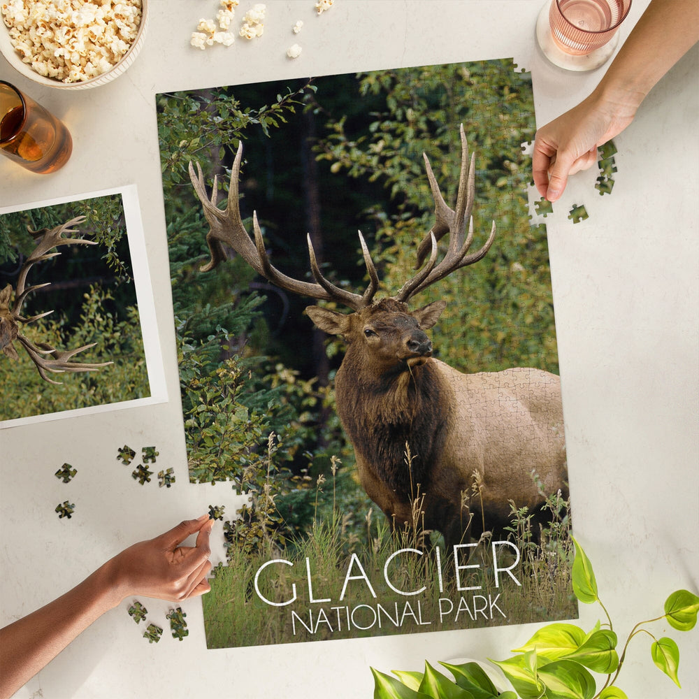Glacier National Park, Elk Bull, Jigsaw Puzzle Puzzle Lantern Press 