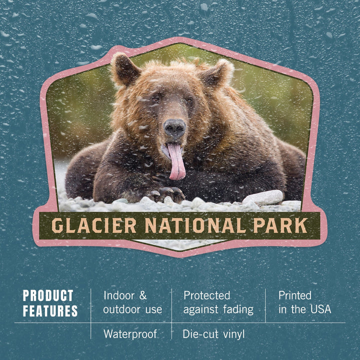 Glacier National Park, Montana, Grizzly Bear with Tongue Out, Contour, Lantern Press Photography, Vinyl Sticker - Lantern Press