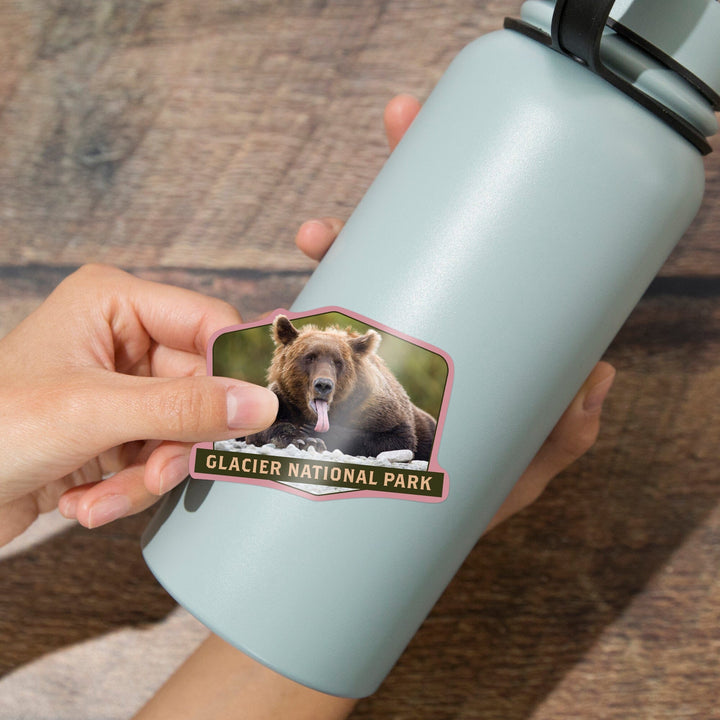 Glacier National Park, Montana, Grizzly Bear with Tongue Out, Contour, Lantern Press Photography, Vinyl Sticker - Lantern Press