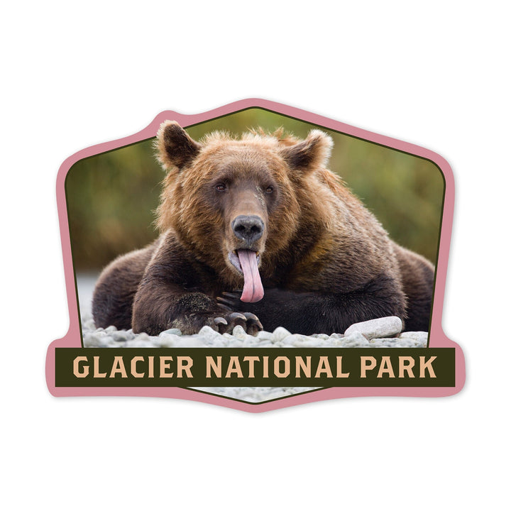 Glacier National Park, Montana, Grizzly Bear with Tongue Out, Contour, Lantern Press Photography, Vinyl Sticker - Lantern Press