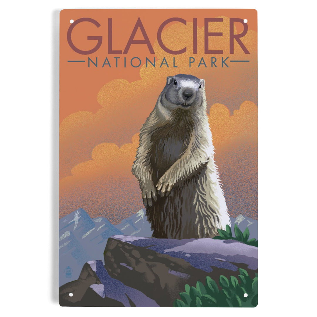 Glacier National Park, Montana, Marmot, Lithograph, Metal Signs Metal Lantern Press 