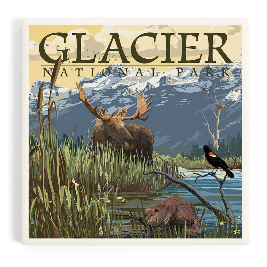 Glacier National Park, Montana, Mountain and Marsh Scene, Coasters Coasters Lantern Press 