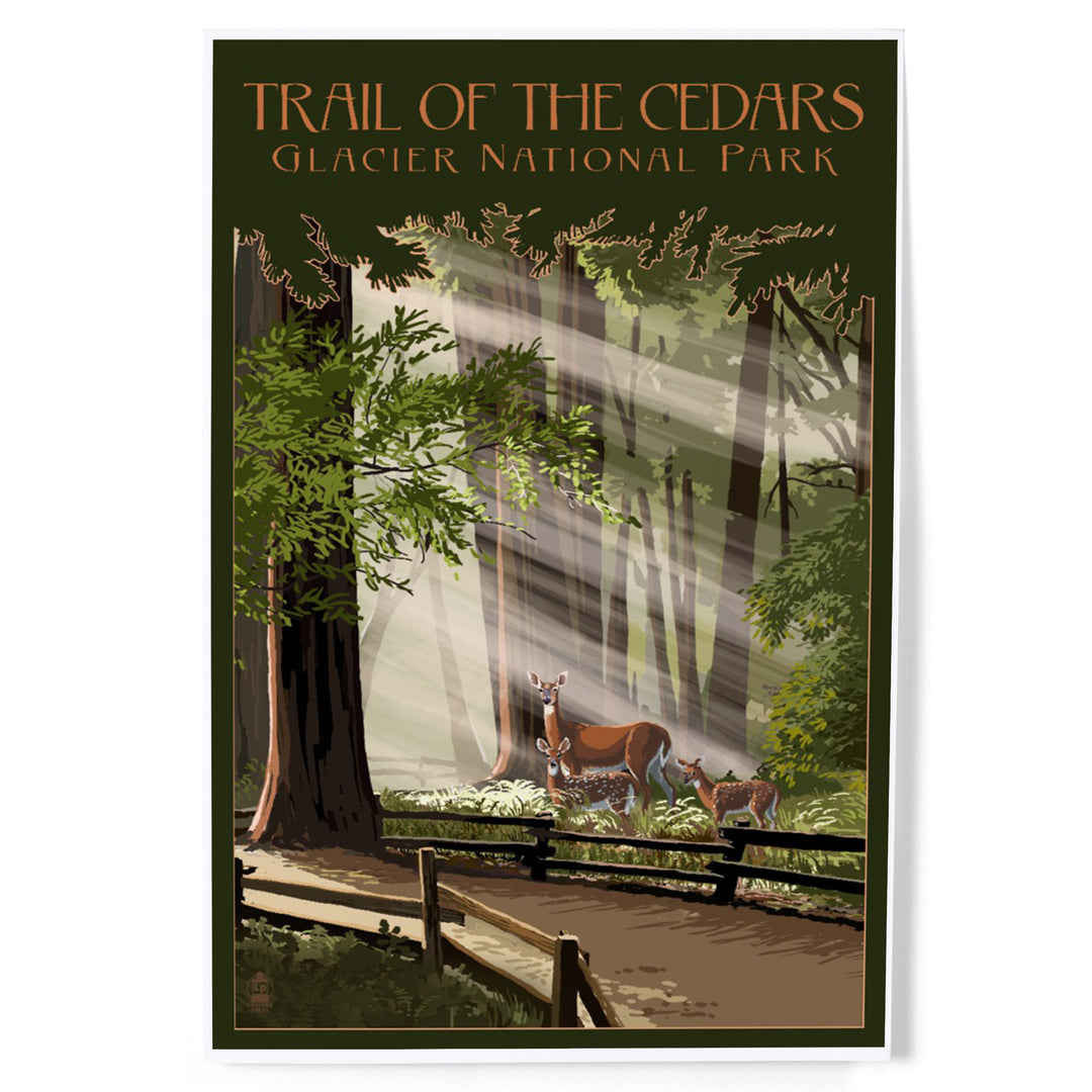 Glacier National Park, Montana, Trail of the Cedars, Deer Family, Art & Giclee Prints Art Lantern Press 12 x 18 Art Print 
