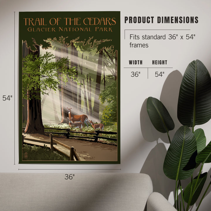 Glacier National Park, Montana, Trail of the Cedars, Deer Family, Art & Giclee Prints Art Lantern Press 
