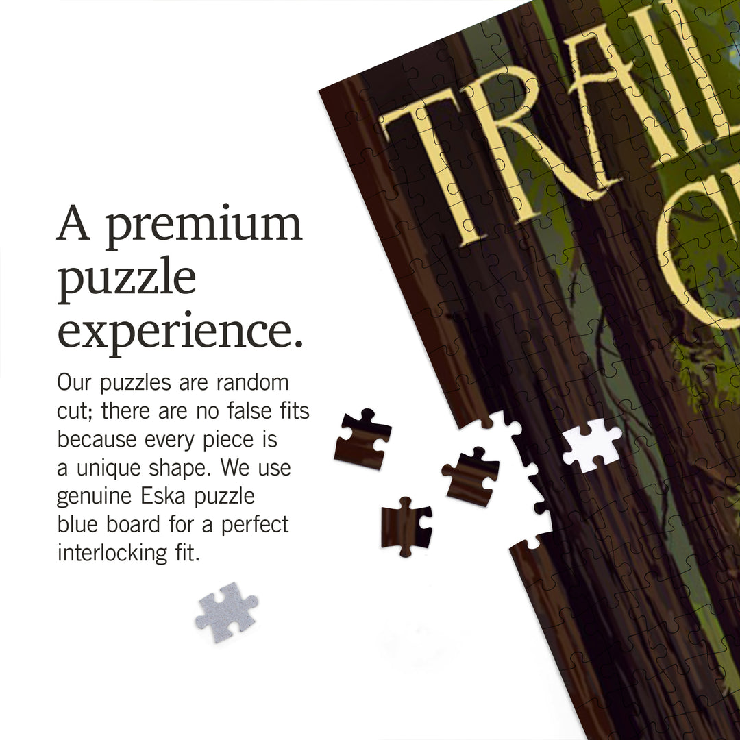 Glacier National Park, Montana, Trail of the Cedars, Jigsaw Puzzle Puzzle Lantern Press 
