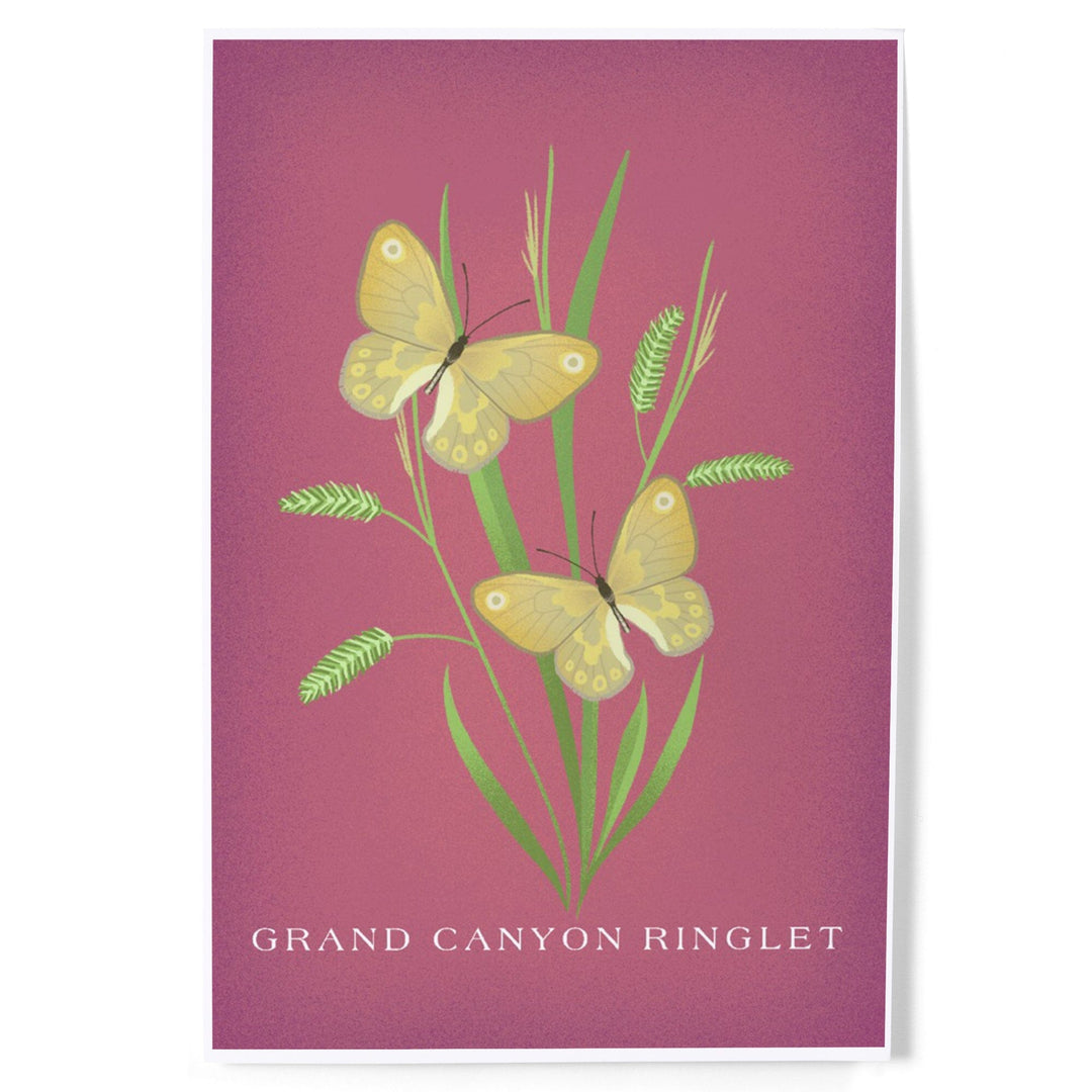Grand Canyon Ringlet, Vintage Flora, Art & Giclee Prints Art Lantern Press 