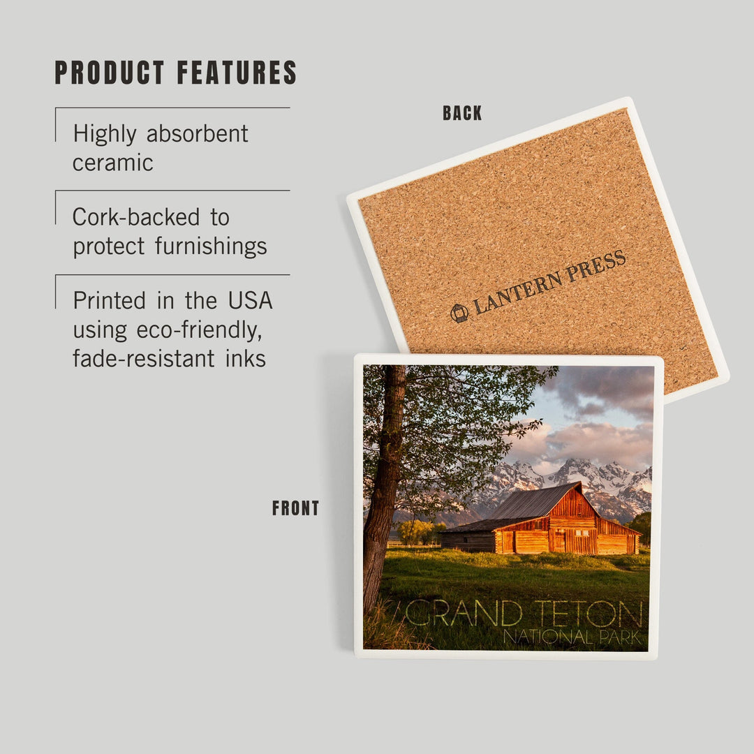 Grand Teton National Park, Wyoming, Barn and Tree, Coasters Coasters Lantern Press 