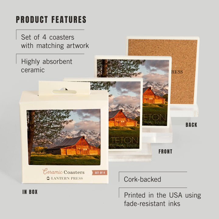 Grand Teton National Park, Wyoming, Barn and Tree, Coasters Coasters Lantern Press 