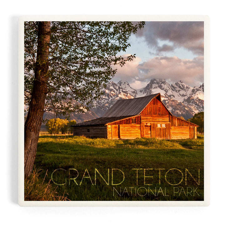 Grand Teton National Park, Wyoming, Barn and Tree, Coasters Coasters Lantern Press 