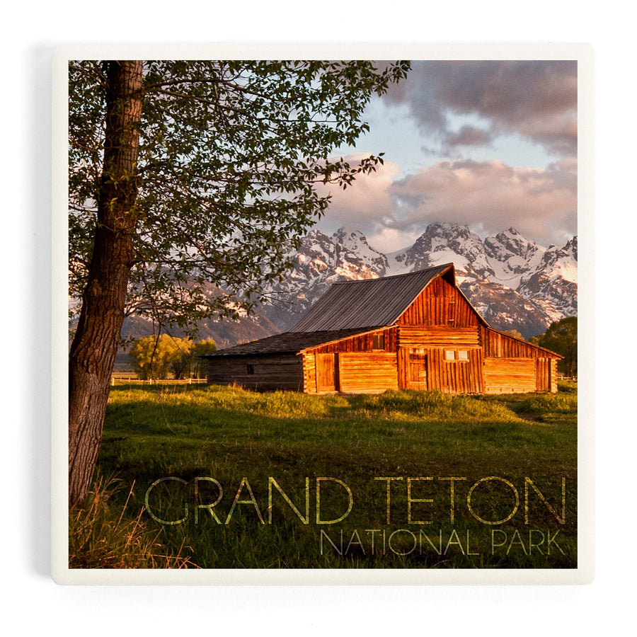 Grand Teton National Park, Wyoming, Barn and Tree, Coasters Coasters Lantern Press 