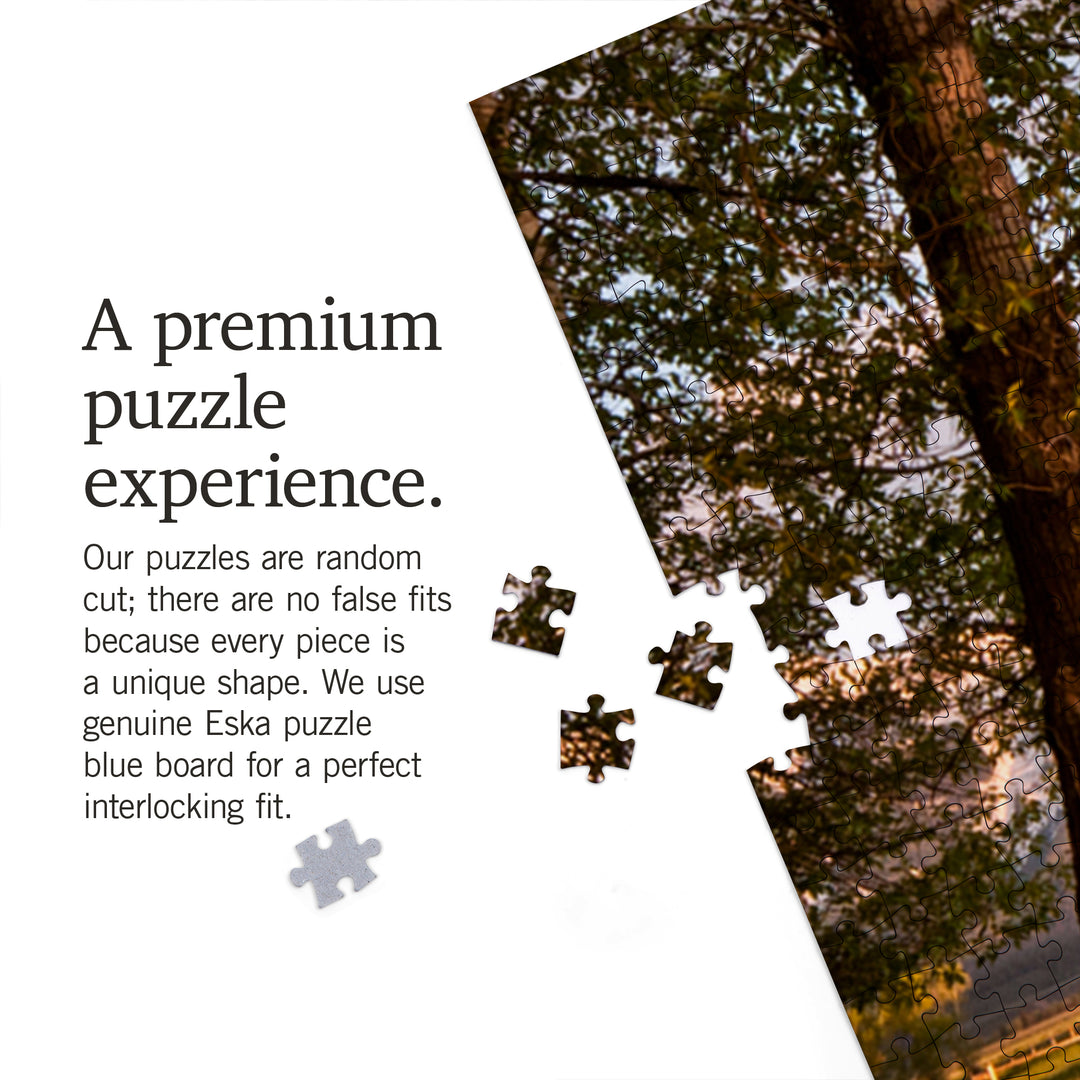 Grand Teton National Park, Wyoming, Barn and Tree, Jigsaw Puzzle Puzzle Lantern Press 