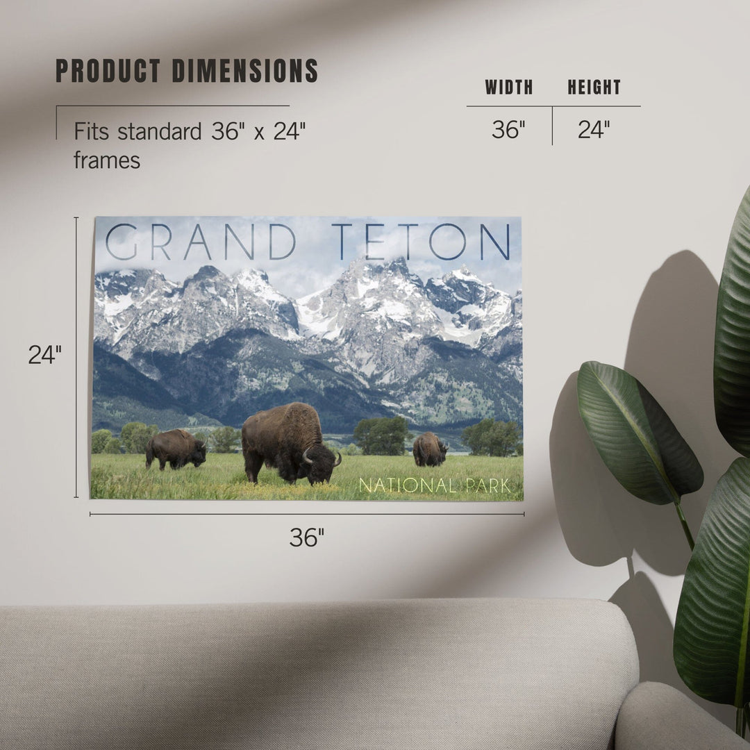 Grand Teton National Park, Wyoming, Buffalo and Mountain Scene, Art & Giclee Prints Art Lantern Press 